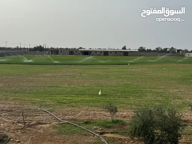 Studio Farms for Sale in Misrata Other