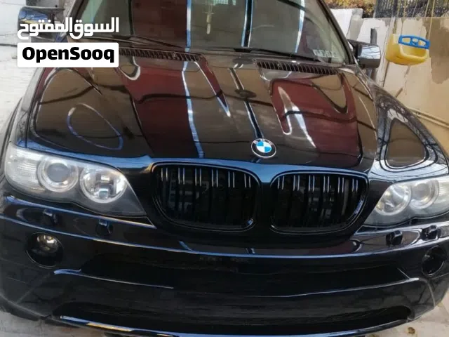 2006, بي ام دبليو, الفئة X5, X5 sDrive40i
