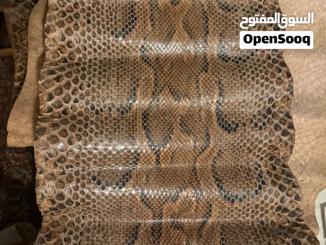 جلد ثعبان بايثون طبيعي فاخر - طول نادر 6.20 متر (لعشاق التميز والمصنعين)