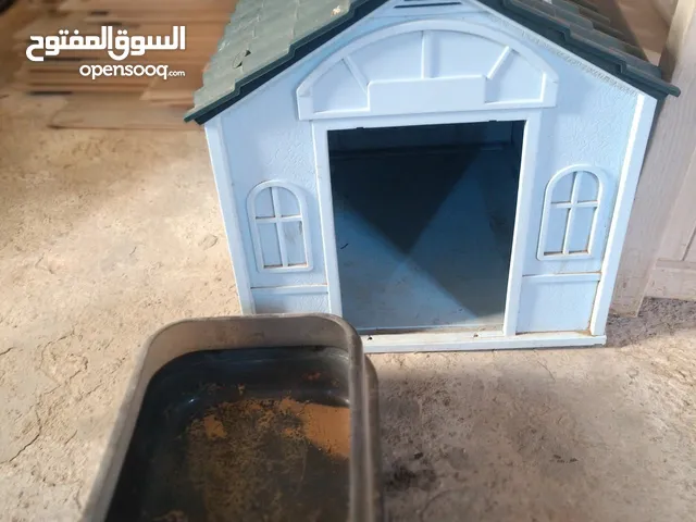 بيت قطه بالاظافه إلى مبوله