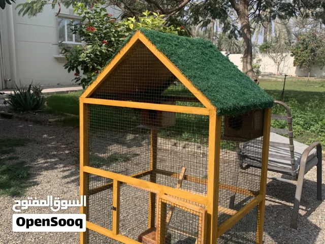 قـفـص طـيـور نـظيـف و حـجـم ممْـتـاًز تـواصـل خـاص و فالك طـيـب