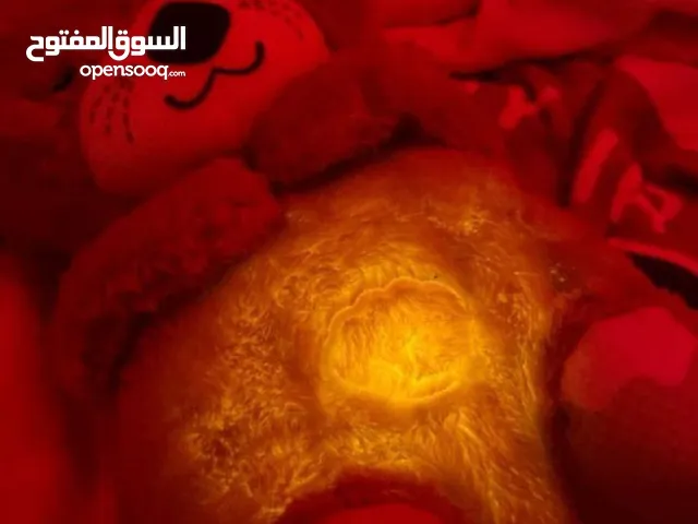 دب الراحة النفسية الي يتنفس دبدوب يتنفس ) دبدوب الترند دبدوب منوم للاطفال والكبار يتنفس ويطلع ضوء .
