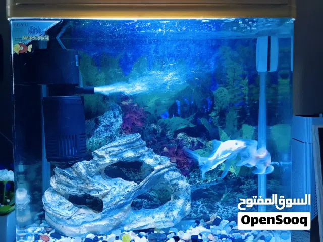 Boyu Aquarium