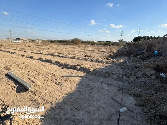 Farm Land for Sale in Basra Zubayr