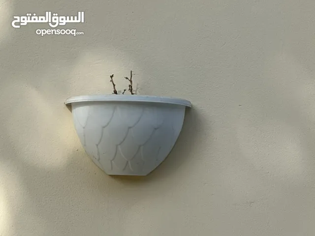 عدد 2 اصيص للزرع لون ابيض جميل وعدد 3 اضاءه موفر الطاقه شمسيه بحاله جديده