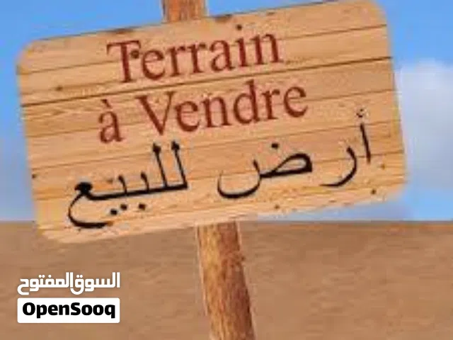 Farm Land for Sale in Mafraq Al-Za'atari