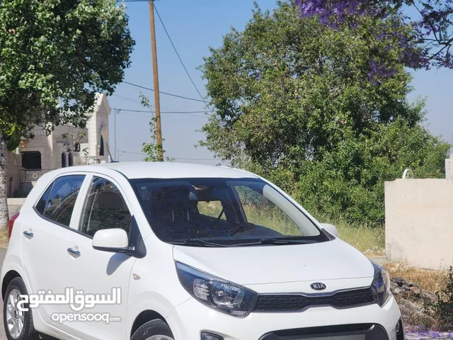 كيا مورنينك ترخيص 2019