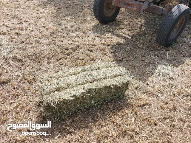 برايد للبيع مع التوصيل