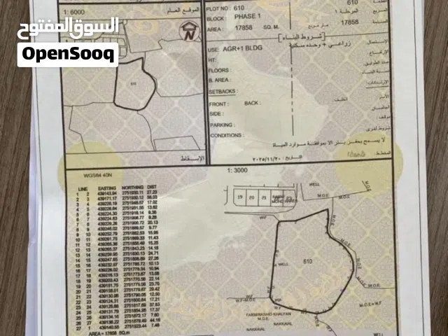 مزرعه 4 فدان فضا