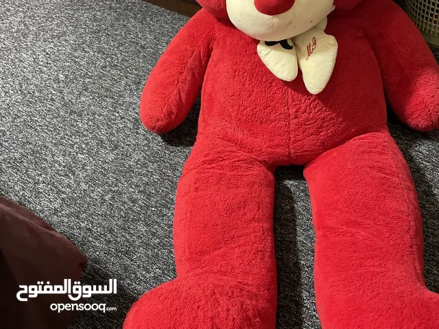 دب كبير لون احمر