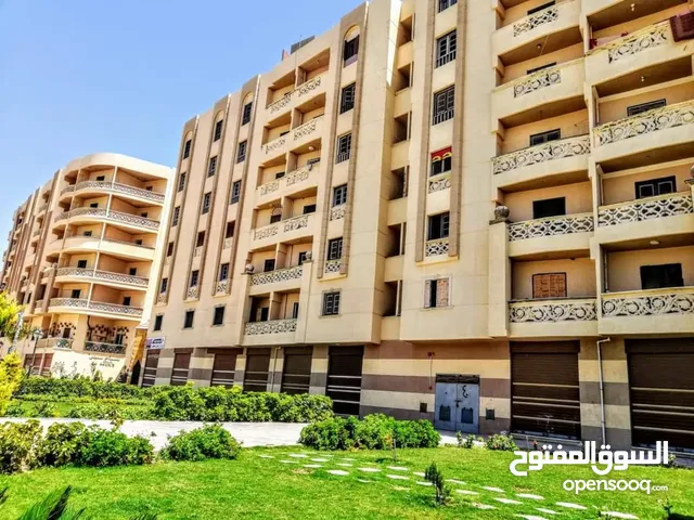 75 m2 2 Bedrooms Apartments for Rent in Alexandria Agami