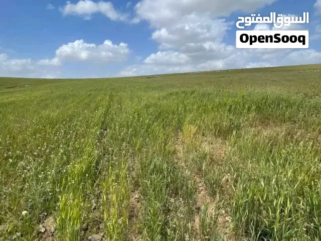 Farm Land for Sale in Mafraq Al-Dajaniya