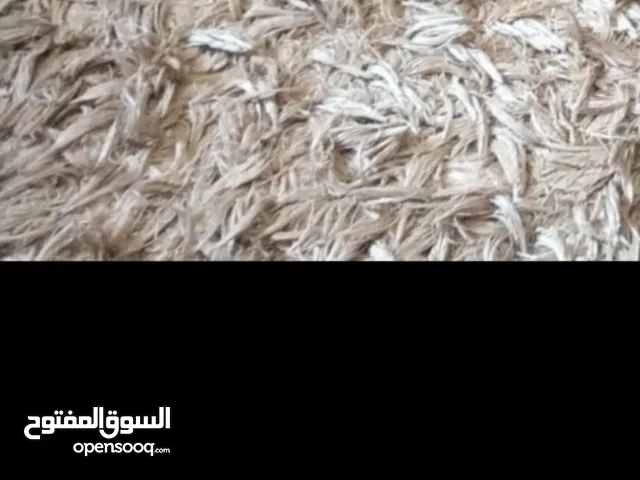 سجاد للبيع