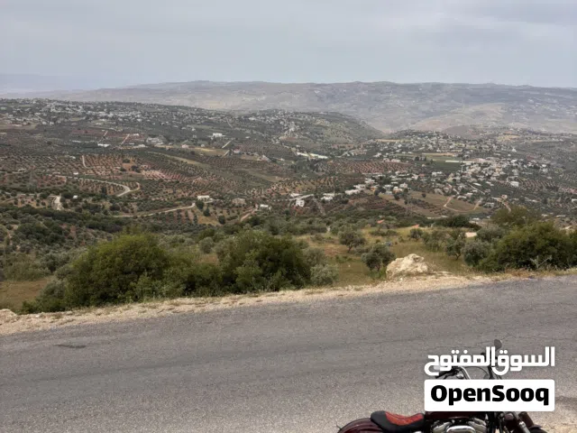 2015 هارلي ديفيدسون Superlow