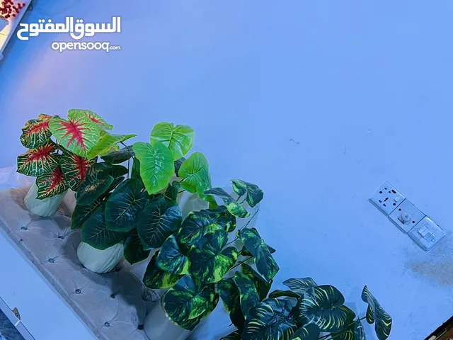 تخفيضات تخفيضات اخر 4 قطع