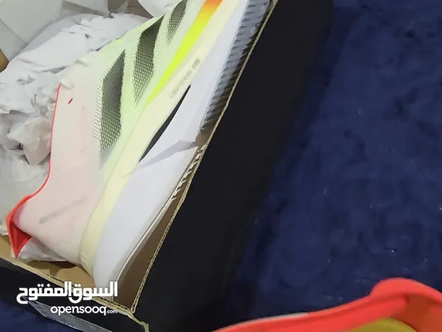 44.5 Sport Shoes in Northern Governorate