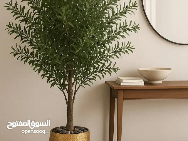 شجر وقوارير مميزة