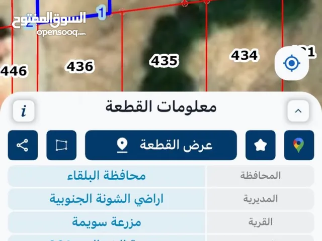 ارض في منطقة السويمة بحر الميت للبيع