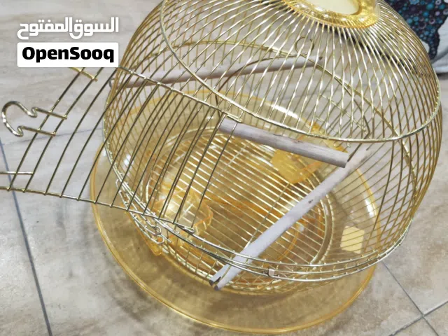قفص طيور ذهبي دائري:  "أضف لمسة من الأناقة لمنزلك": قفص طيور ذهبي دائري فاخر!