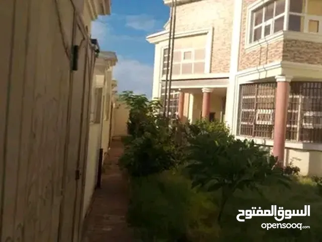 مبني خدمي اداري ضخم لاجار الهواري