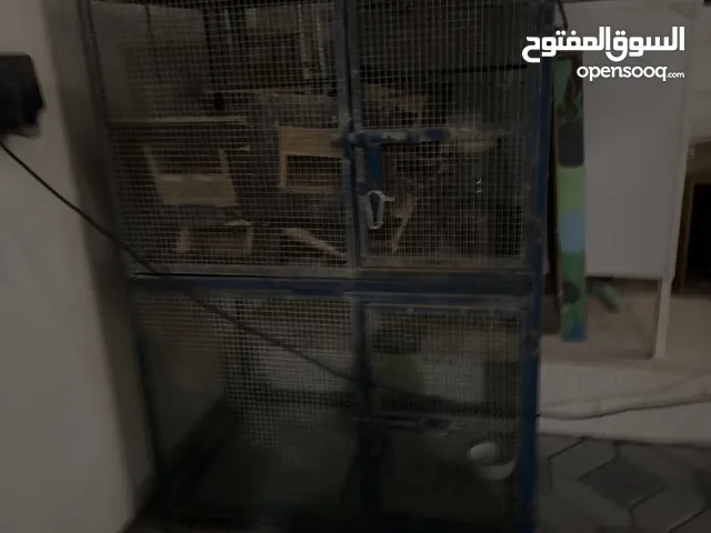 قفص قابل للتفاوض بالمعقول