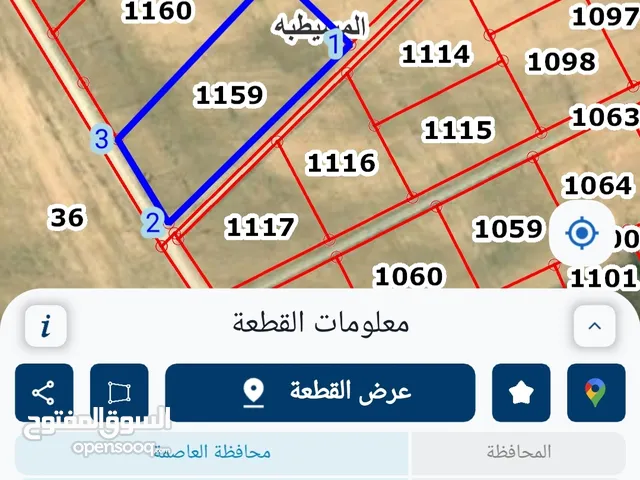 Farm Land for Sale in Amman Umm Al-Rasas