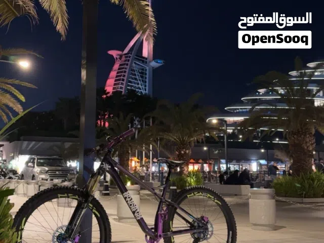 Mountain bike (MTB) custom build
