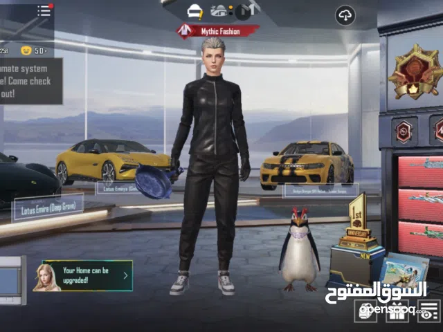 Pubg Accounts and Characters for Sale in Mubarak Al-Kabeer