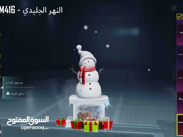 Pubg Accounts and Characters for Sale in Amman