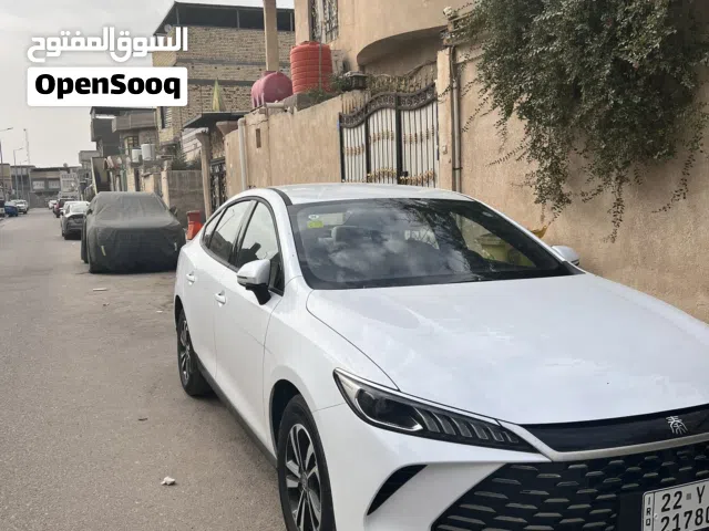 2025 بي واي دي كين