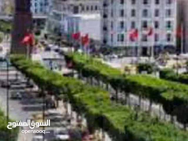 100 m2 Studio Apartments for Rent in Tunis Other