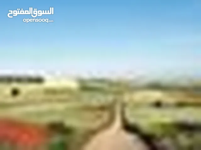هاشم الاردن - الكويت
