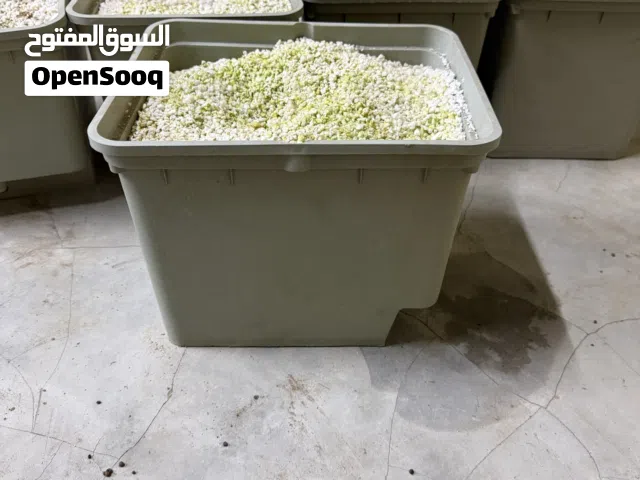 صندوق زراعه مائية