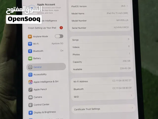 IPad Pro m4 256 11 inch excellent condition