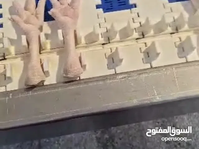 Premium Chicken Paws for Sale — Available in Any Quantity!