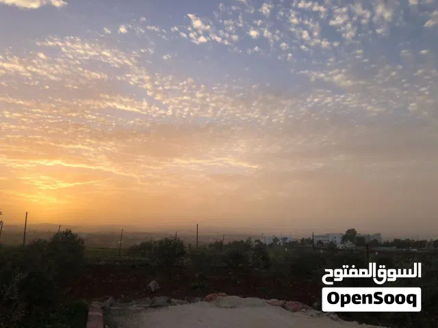 Residential Land for Sale in Irbid An-Nuayyimah