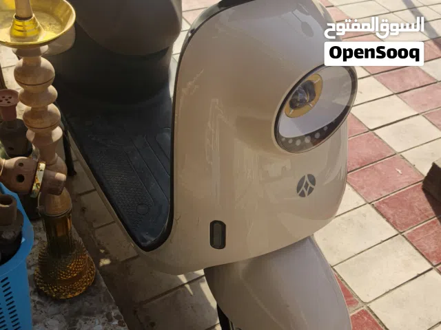 2025 اخرى اخرى