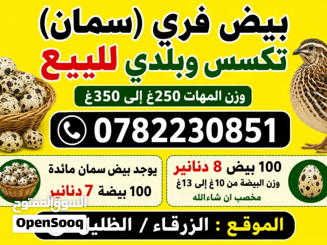 بيض فري للبيع