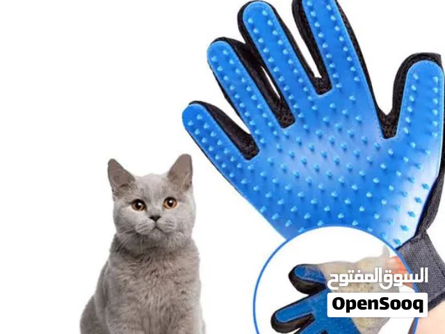 جوانتي للقطط