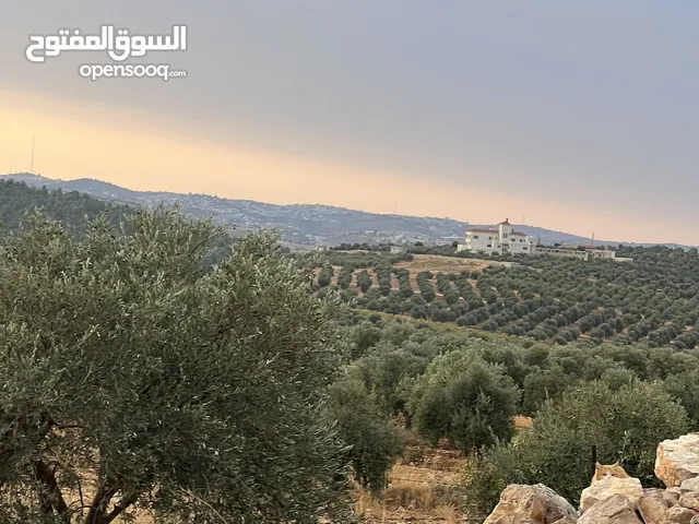 Mixed Use Land for Sale in Jerash Al-Hashimiyyah