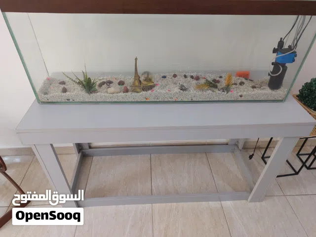 حوض سمك متوسط الحجم