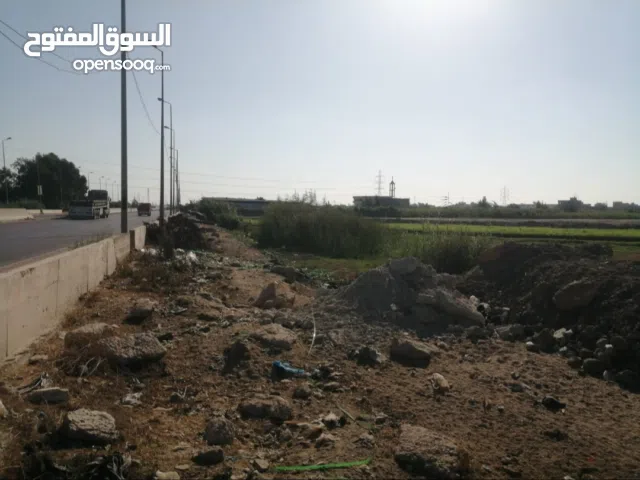 فرصة مميزة لا تعوض  ارض فضاء للبيع على الطريق الدولى الساحلى مباشرة باتجاه الاسكندرية