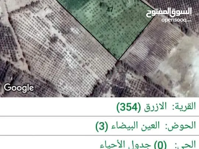 Farm Land for Sale in Zarqa Azraq