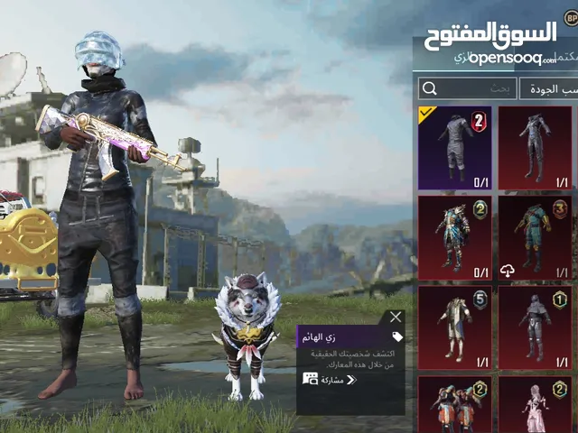 Pubg Accounts and Characters for Sale in Ajman