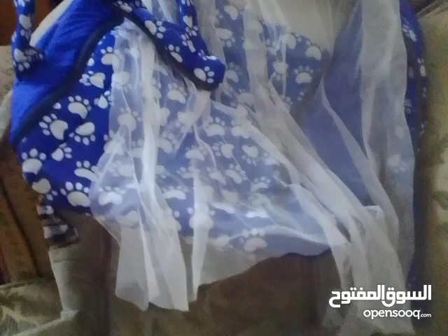 ناموسيه للبيع