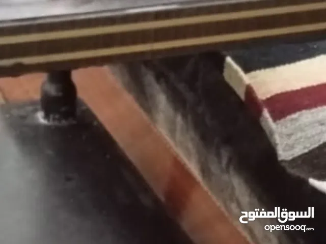 ماوس سلكى للكمبيوتر