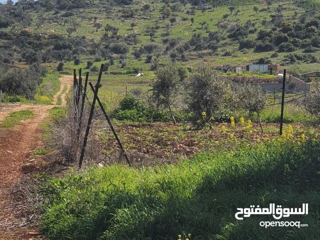 نمرتين ارض