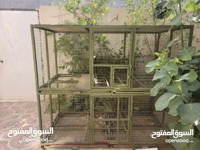 قفص حديد طابقين الارتفاع 155 العرض 180 سعر 150 بي مجال