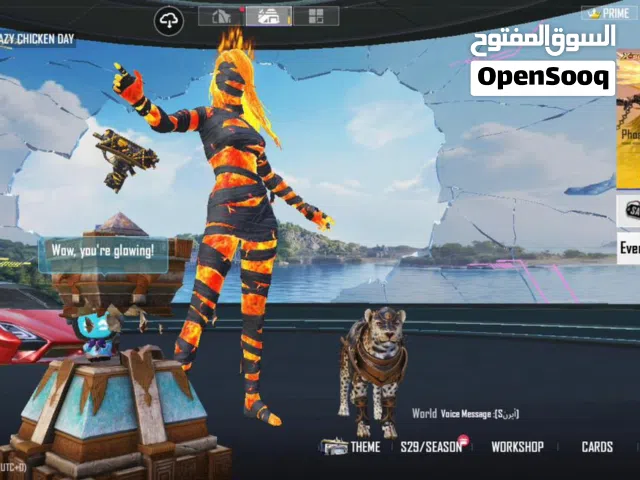 Pubg Accounts and Characters for Sale in Beirut