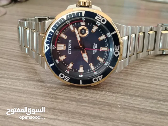 Citizen Endeavor two tone